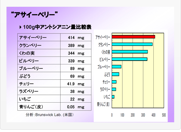 アサイーベリー徳用100粒/健康食品のアメック